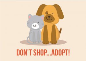 Don’t shop, adopt